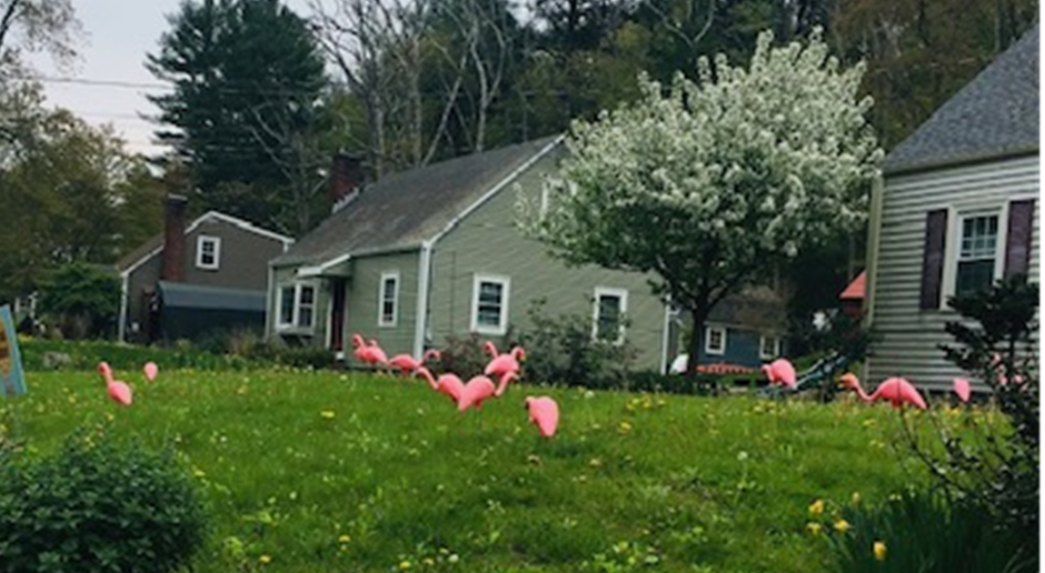 Flock the Flamingos Fundraiser